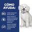 Hill's Prescription Diet Kidney Care k/d Early Stage pienso para perros, , large indicador imagen numero 8